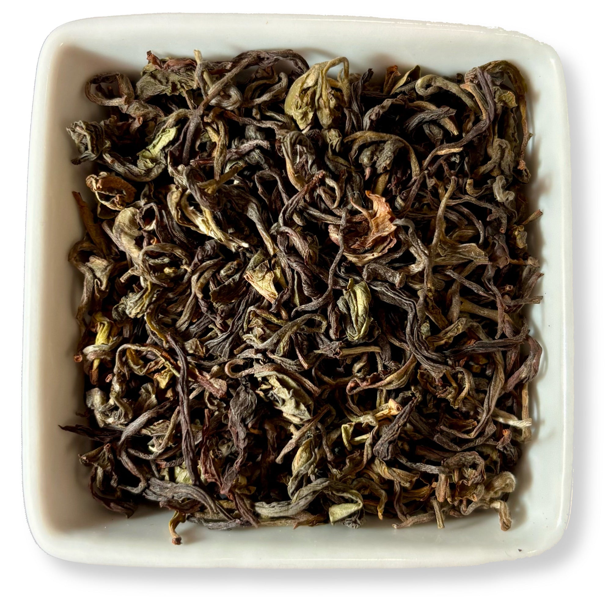 Nilgiri Winter Frost