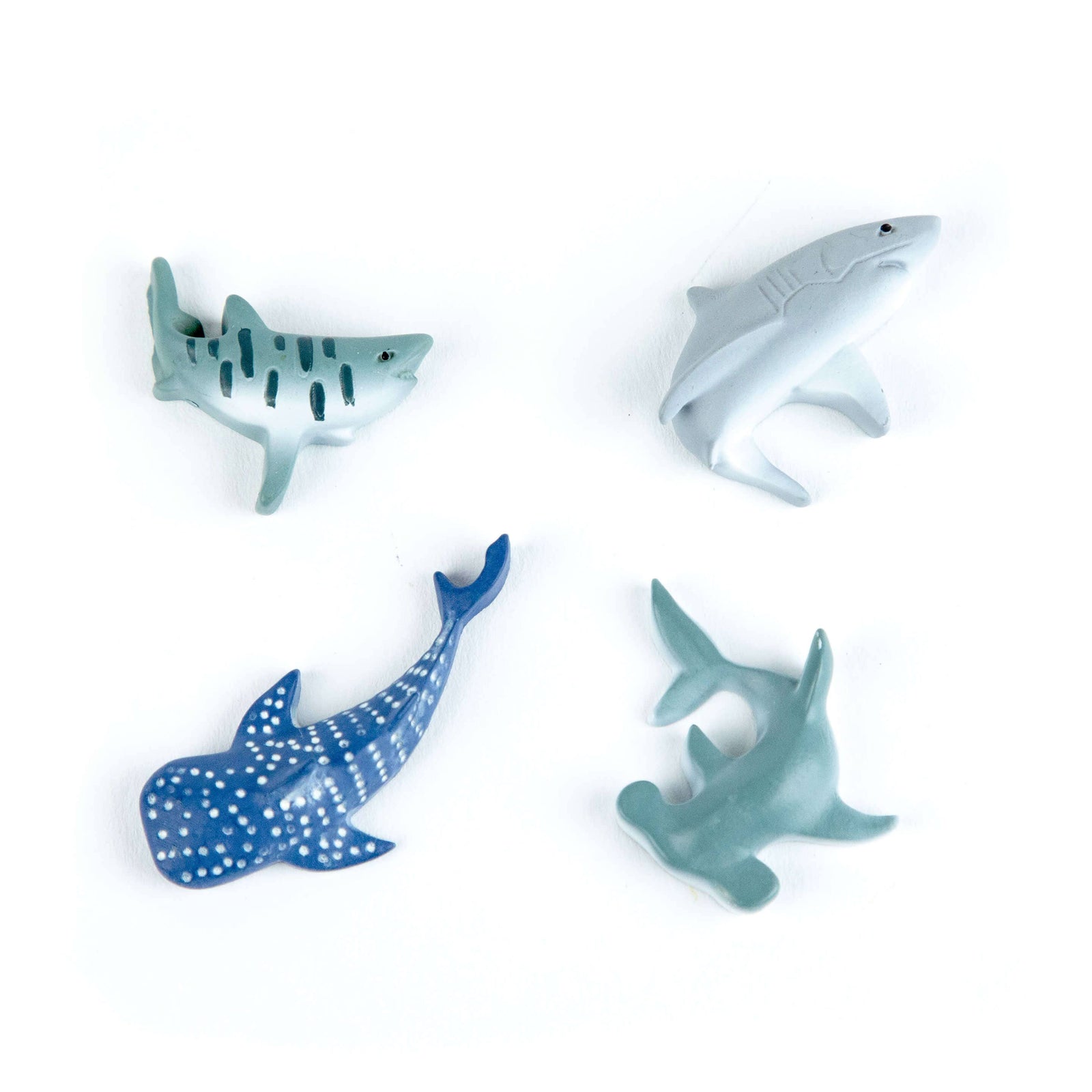 Colorful Shark Magnets